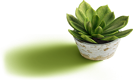 Flower Pot